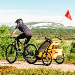Rimorchio Thule Chariot Sport 1 Giallo -Negozio Di Biciclette th10201022 002