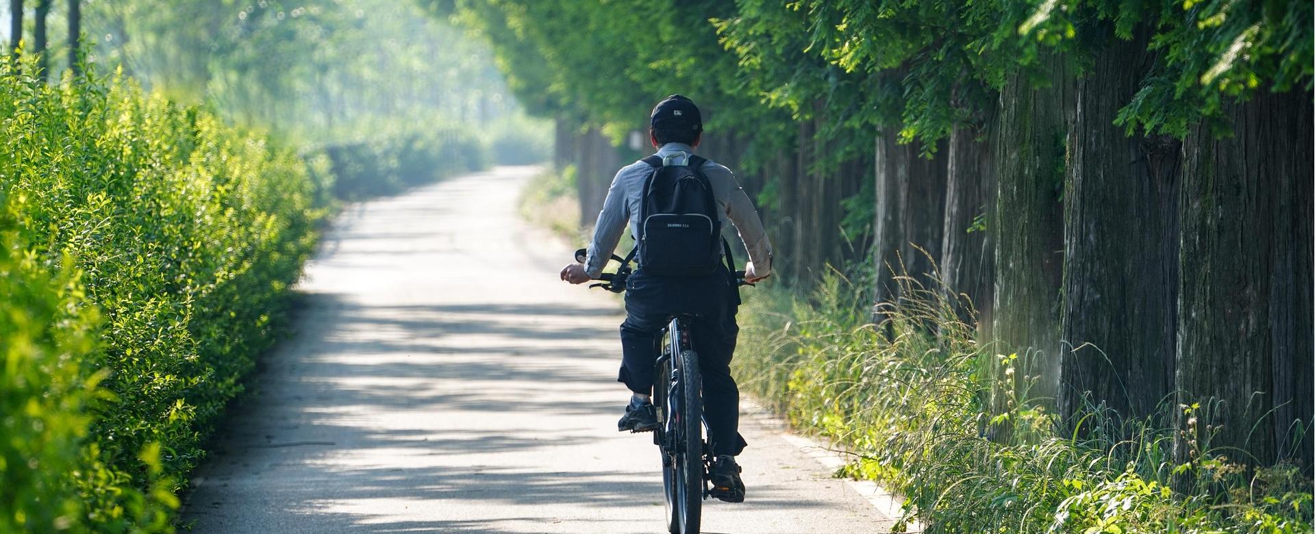 Negozio Di Biciclette 11 Negozio Di Biciclette -Negozio Di Biciclette man 8046025 1920